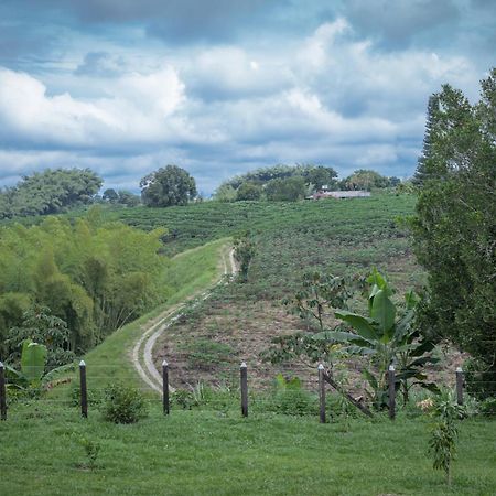 Finca Hotel Heron Quimbaya Eksteriør billede